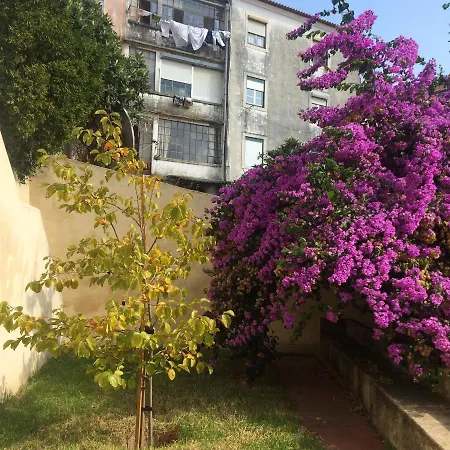 Sobre Ribas 2|12 * Coimbra